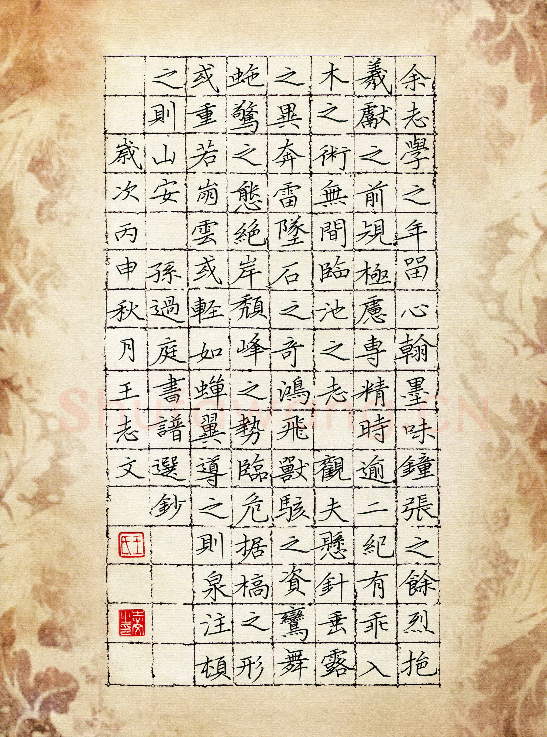 王志文硬笔楷书孙过庭书谱选抄,硬笔书法作品