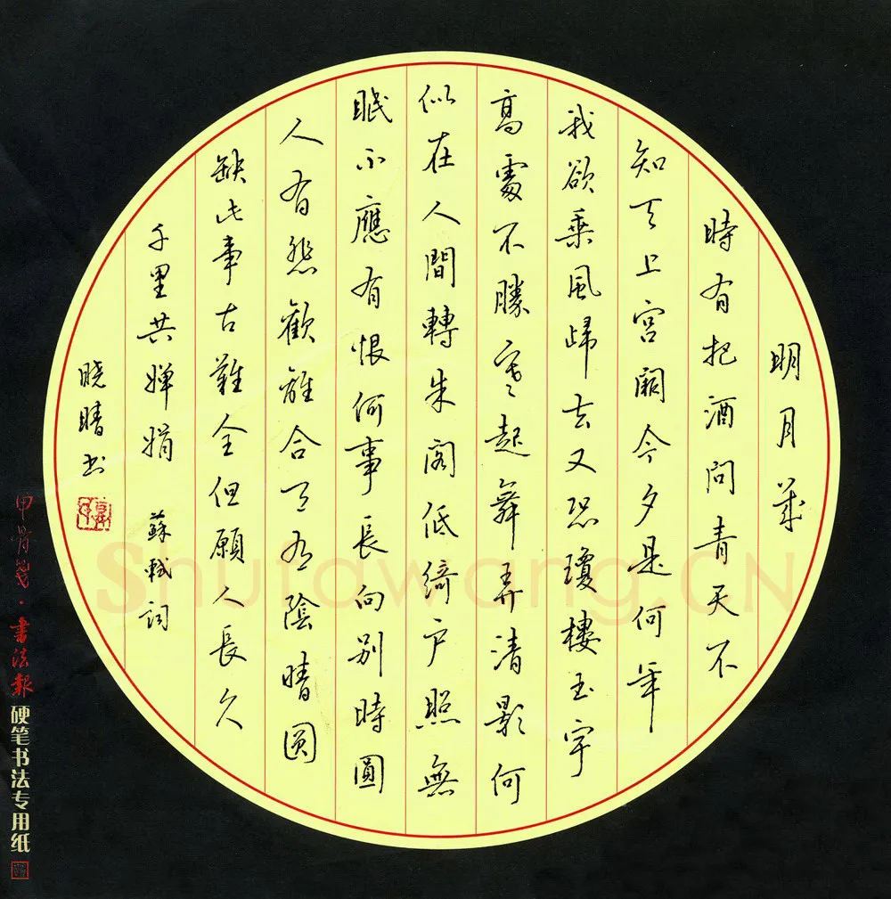 邓晓晴硬笔行书苏轼词,硬笔书法作品