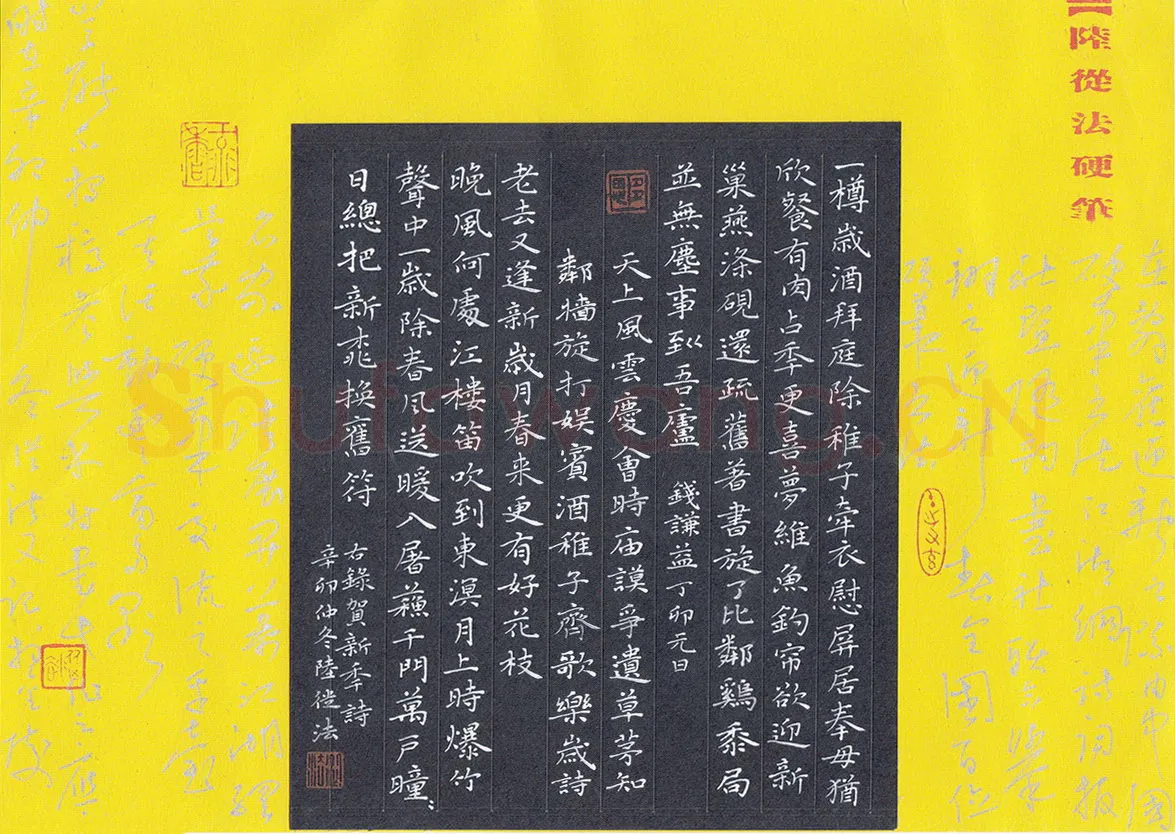 陆从法硬笔楷书贺新年诗,陆从法硬笔书法作品