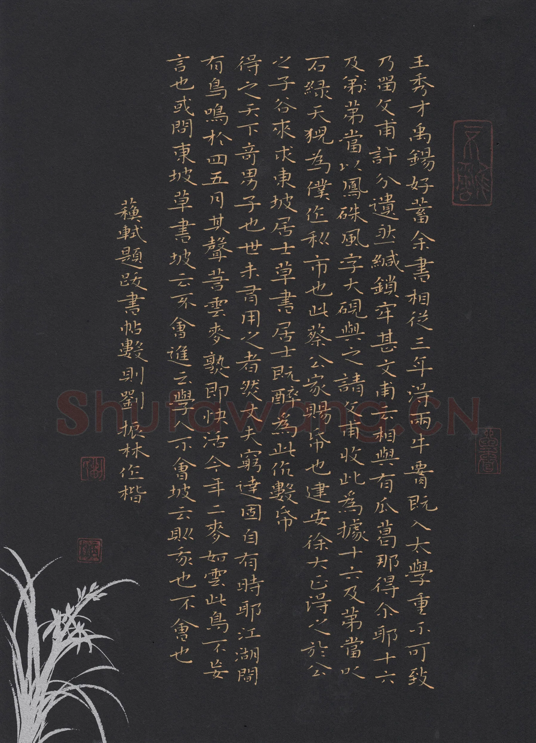 刘振林硬笔楷书苏轼题书帖数则,刘振林硬笔书法作品