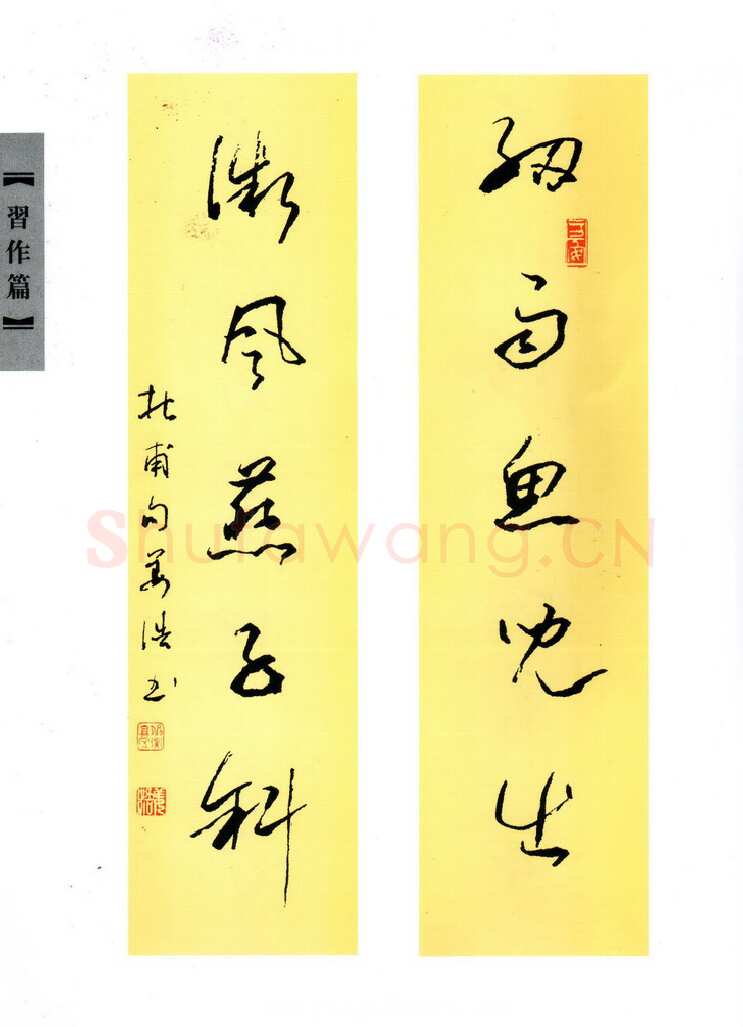 姜浩硬笔行草杜甫句,姜浩硬笔书法作品