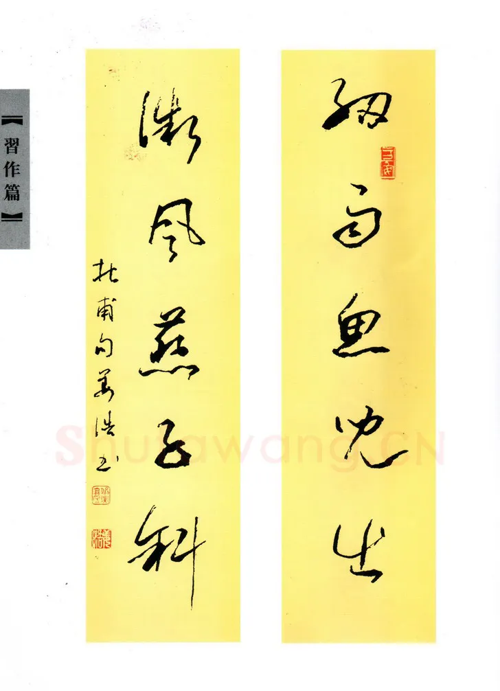 姜浩硬笔行草杜甫句,姜浩硬笔书法作品