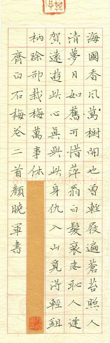 颜晓军硬笔楷书齐白石梅花二首,颜晓军硬笔书法作品
