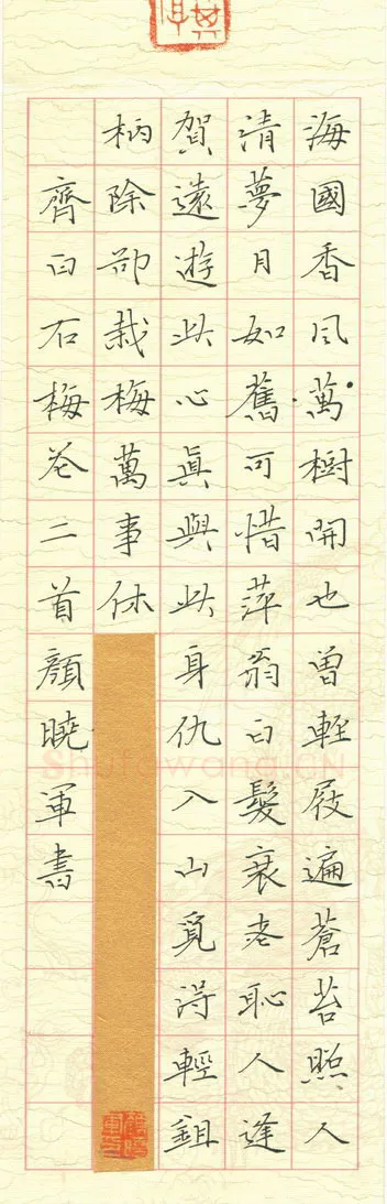 颜晓军硬笔楷书齐白石梅花二首,颜晓军硬笔书法作品