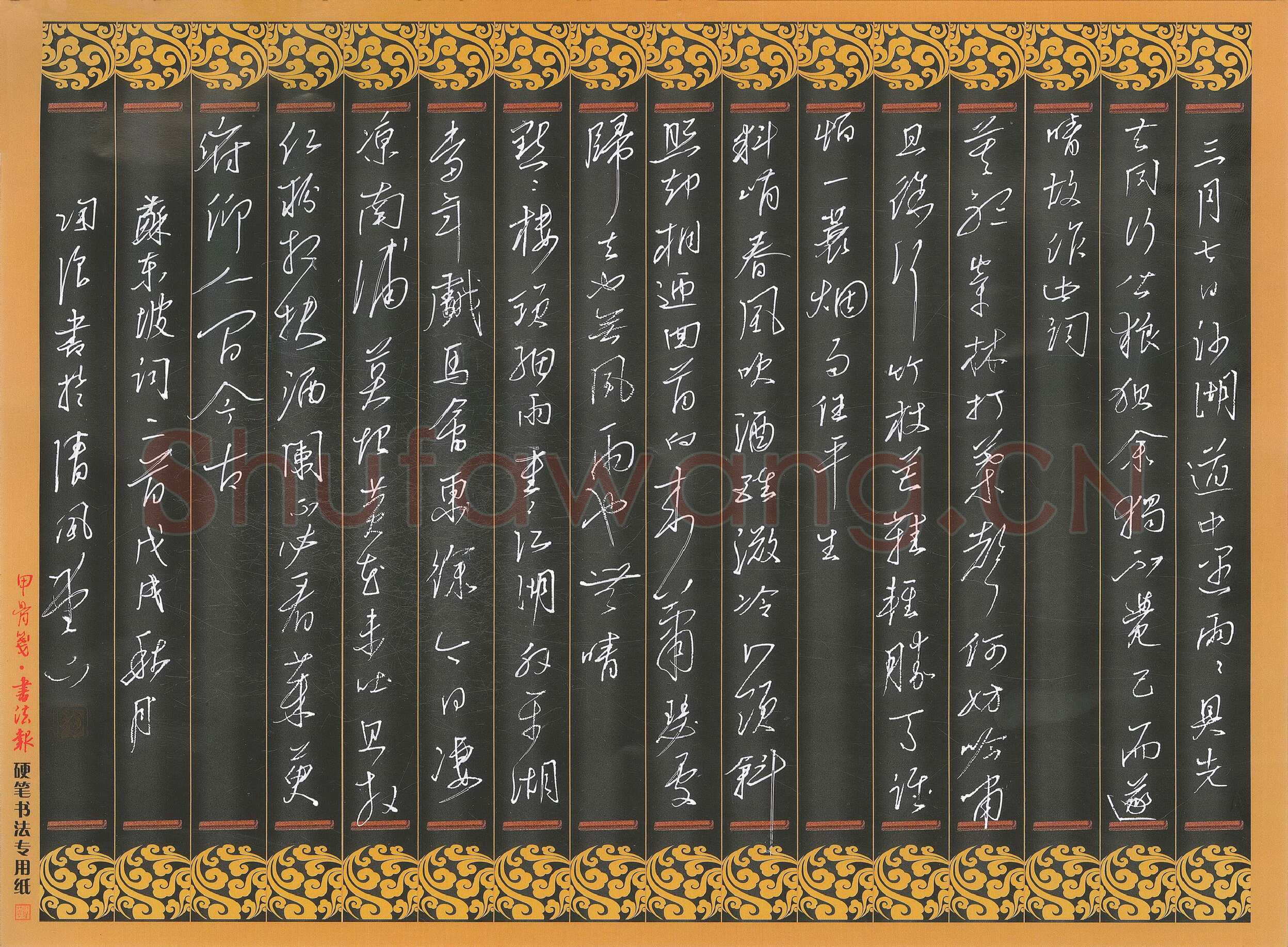 陶浪硬笔行书苏东坡词二首,陶浪硬笔书法作品