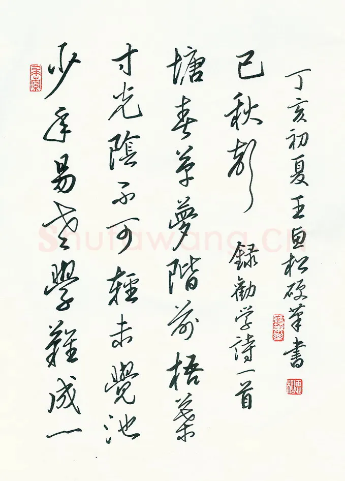 王惠松硬笔行书劝学诗一首,王惠松硬笔书法作品