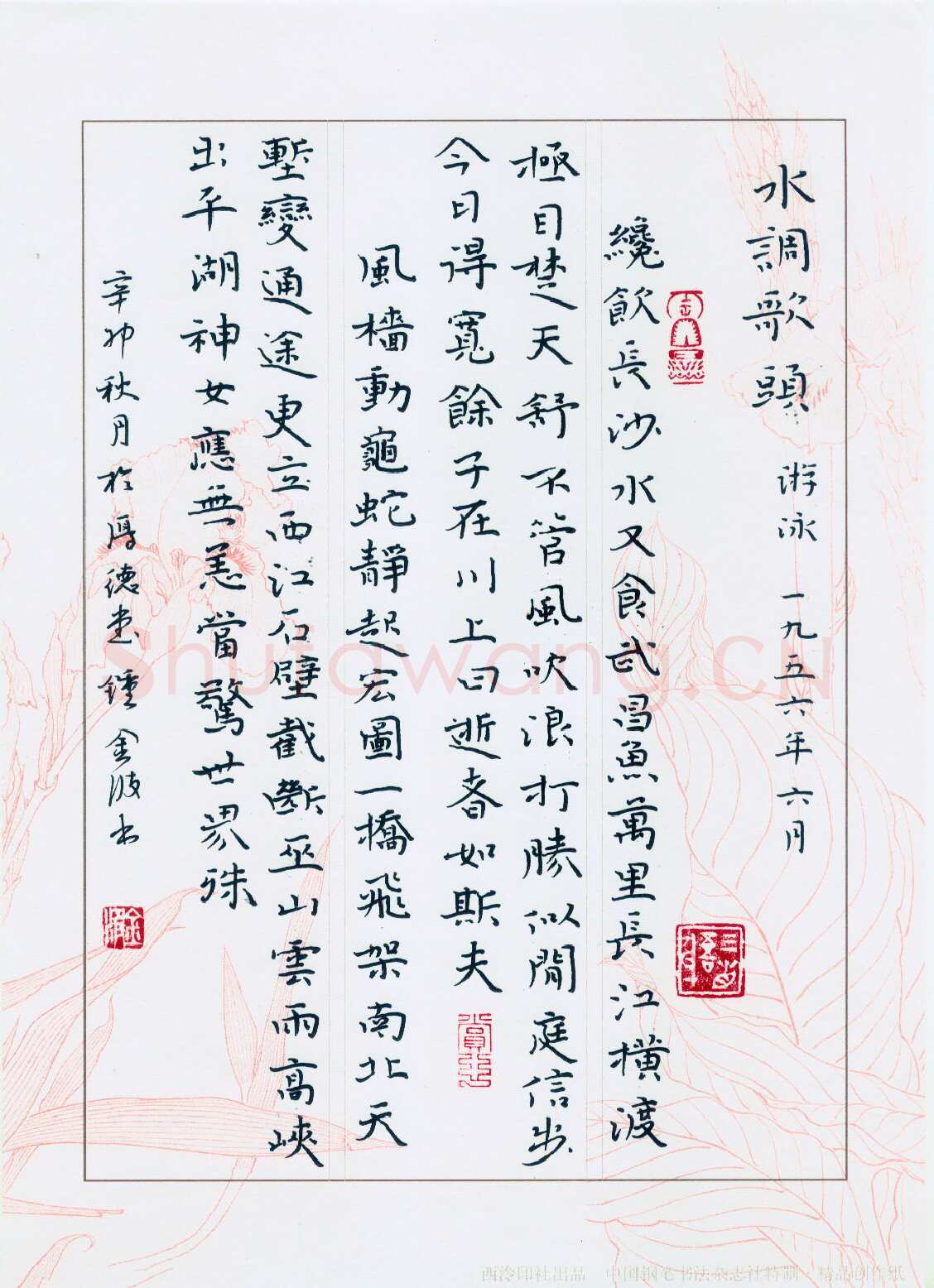 钟金波硬笔楷书水调歌头游泳,钟金波硬笔书法作品