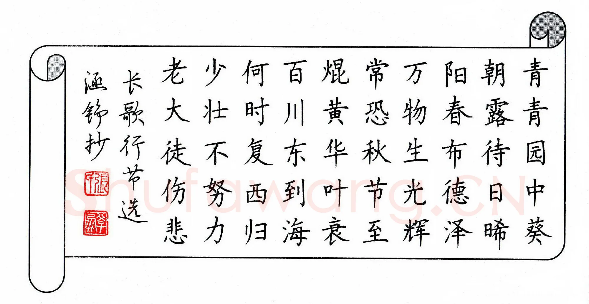 张学鹏硬笔楷书长歌行节选,张学鹏硬笔书法作品