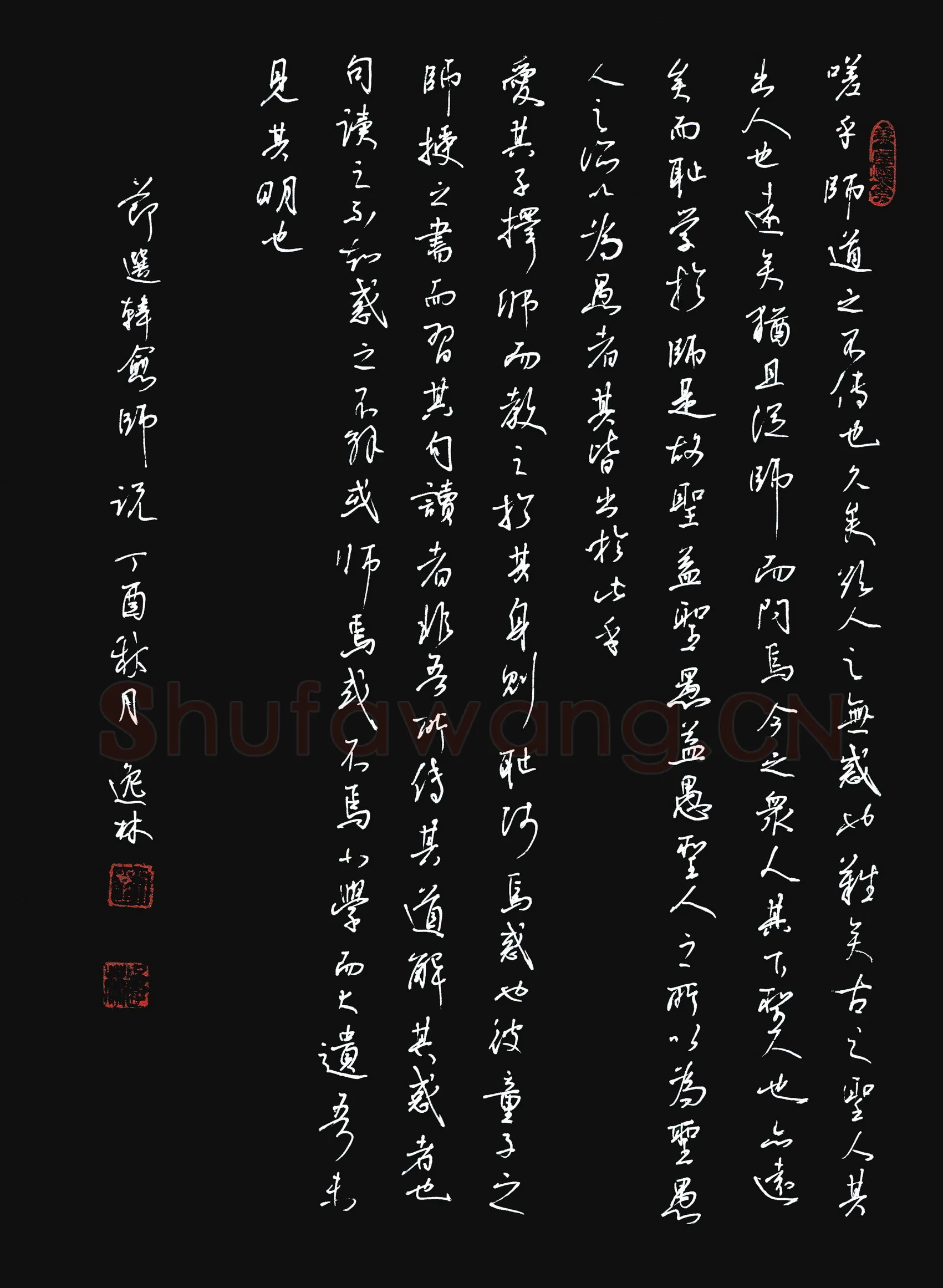 刘良谋硬笔行草节选韩愈师说,刘良谋硬笔书法作品