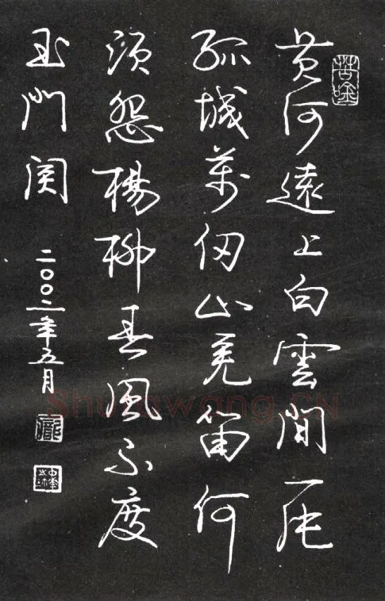 庞中华硬笔行书王之涣凉州词一首,庞中华硬笔书法作品