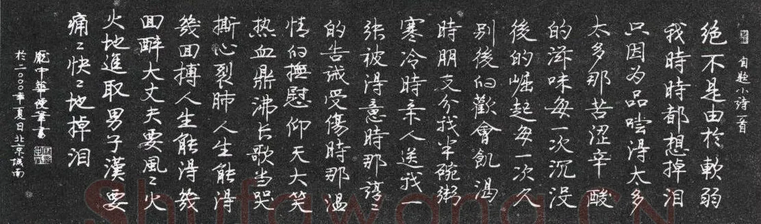 庞中华硬笔行书自题小诗一首,庞中华硬笔书法作品