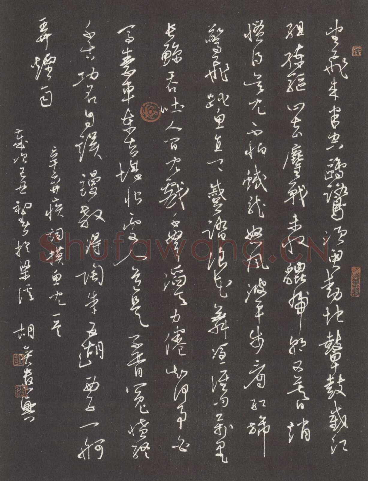 胡奕硬笔行草辛弃疾词摸鱼儿一首 硬笔书法作品欣赏