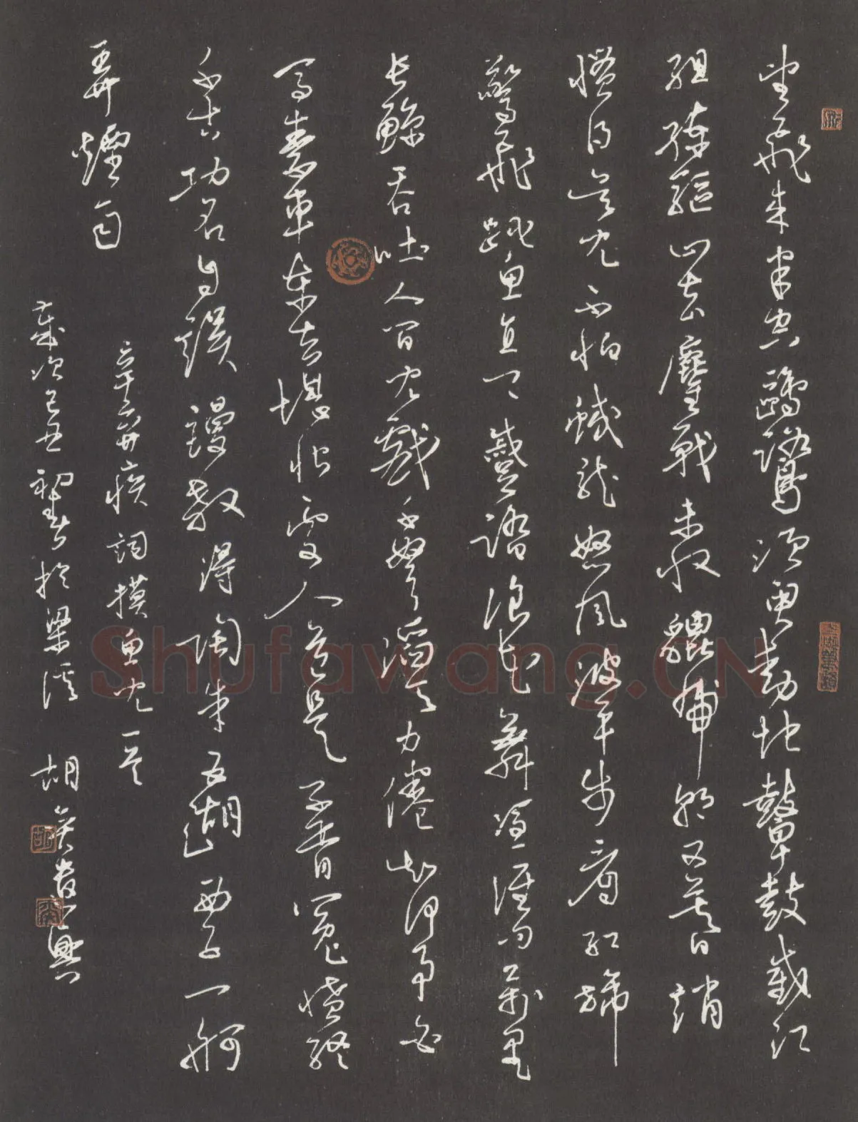 胡奕硬笔行草辛弃疾词摸鱼儿一首 硬笔书法作品欣赏