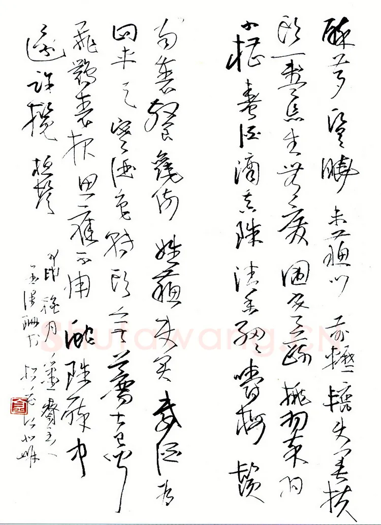 金泽珊硬笔行草 硬笔书法作品欣赏