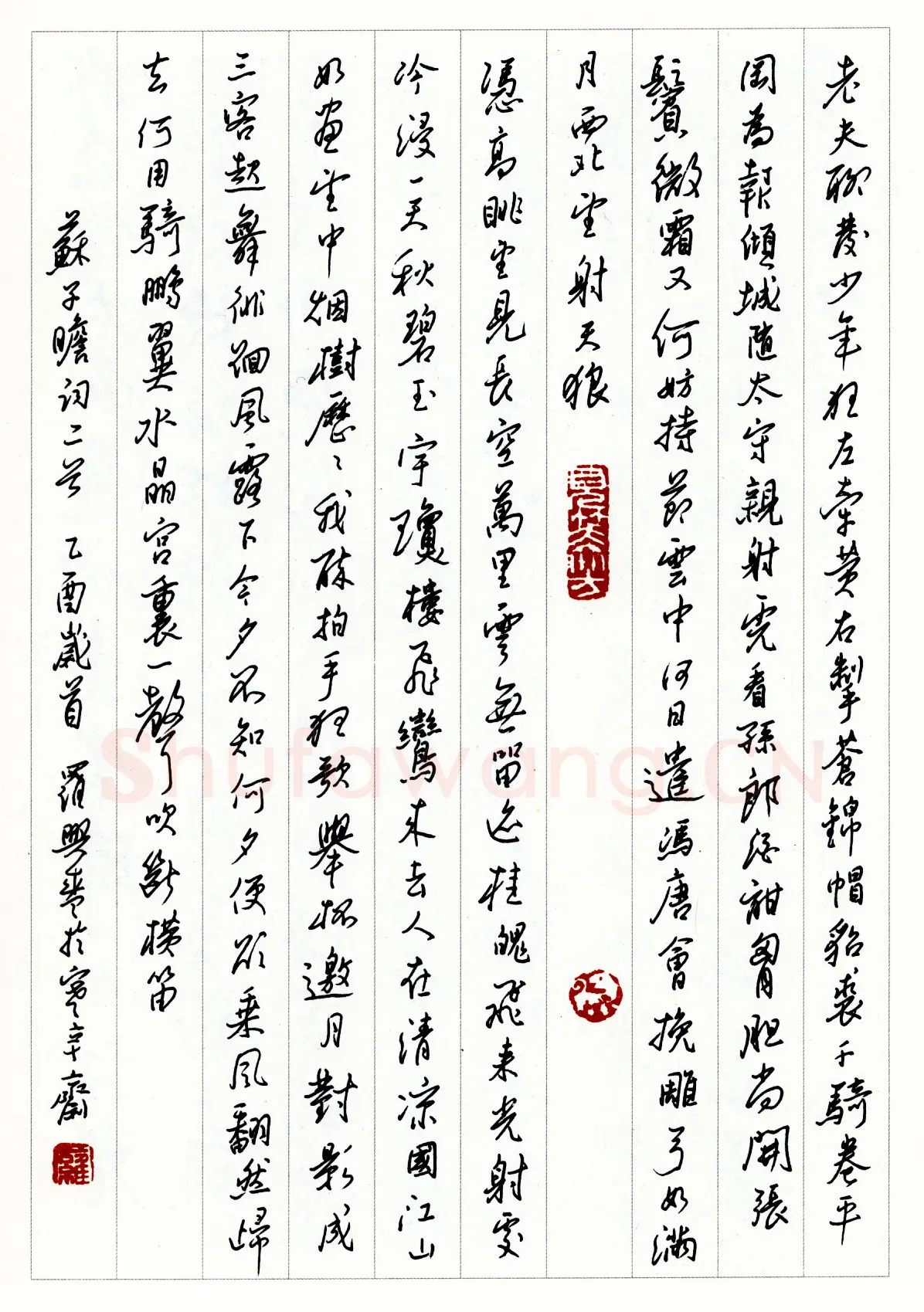 罗兴盛硬笔录苏子瞻词二首 硬笔书法作品欣赏