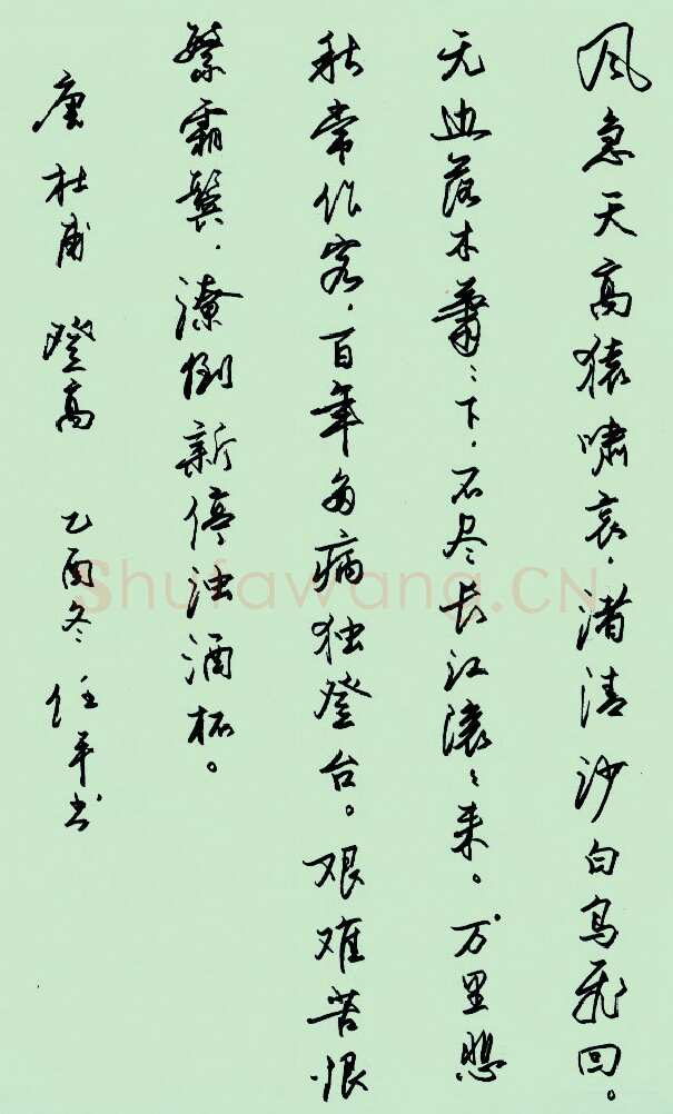 任平硬笔行书杜甫诗登高,任平硬笔书法作品