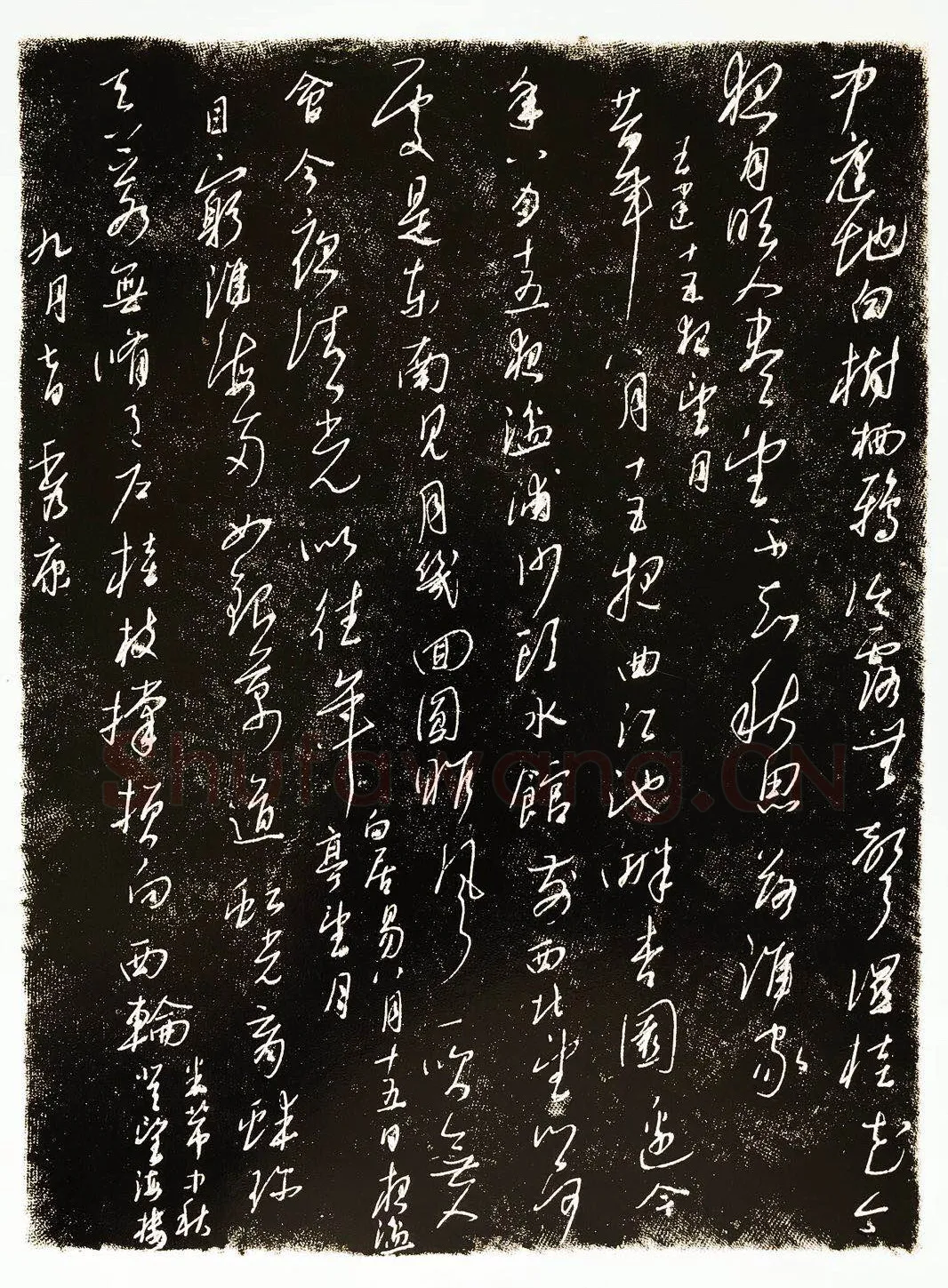 徐秀康硬笔草书古诗三首,徐秀康硬笔书法作品