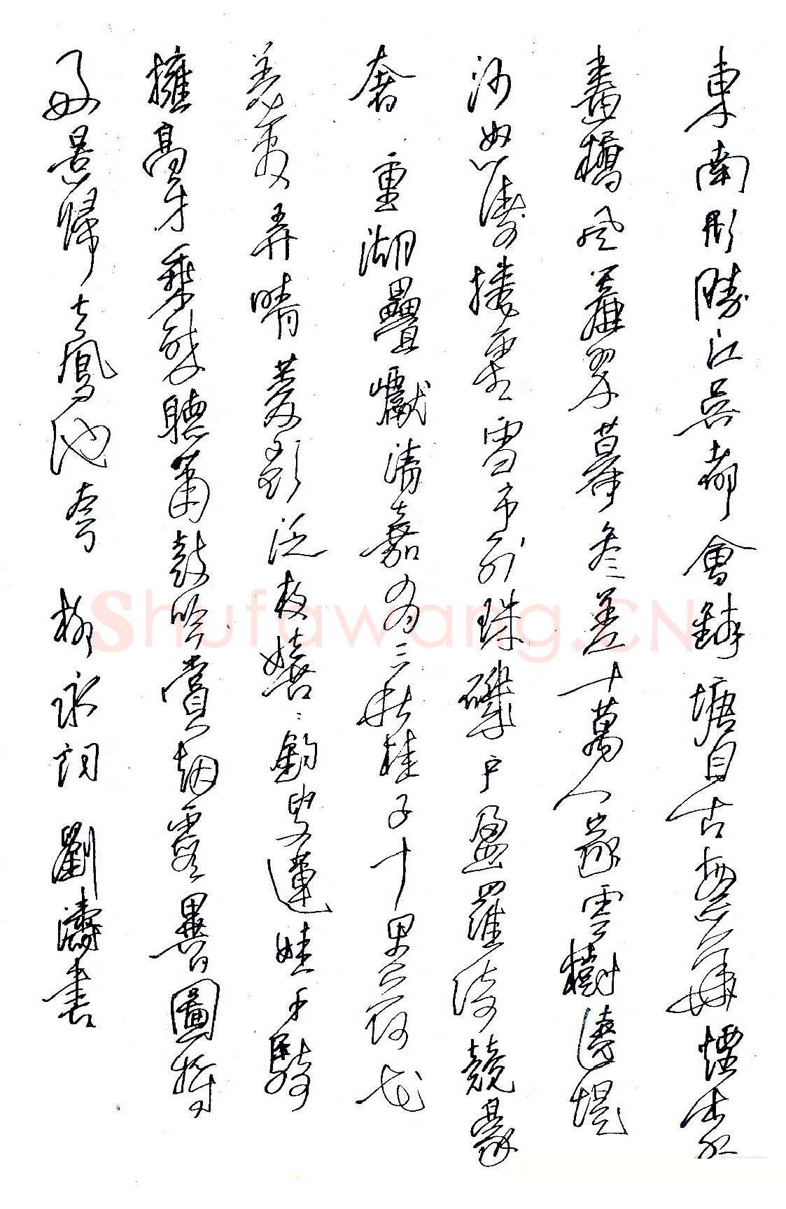 刘涛硬笔录柳永词 硬笔书法作品欣赏