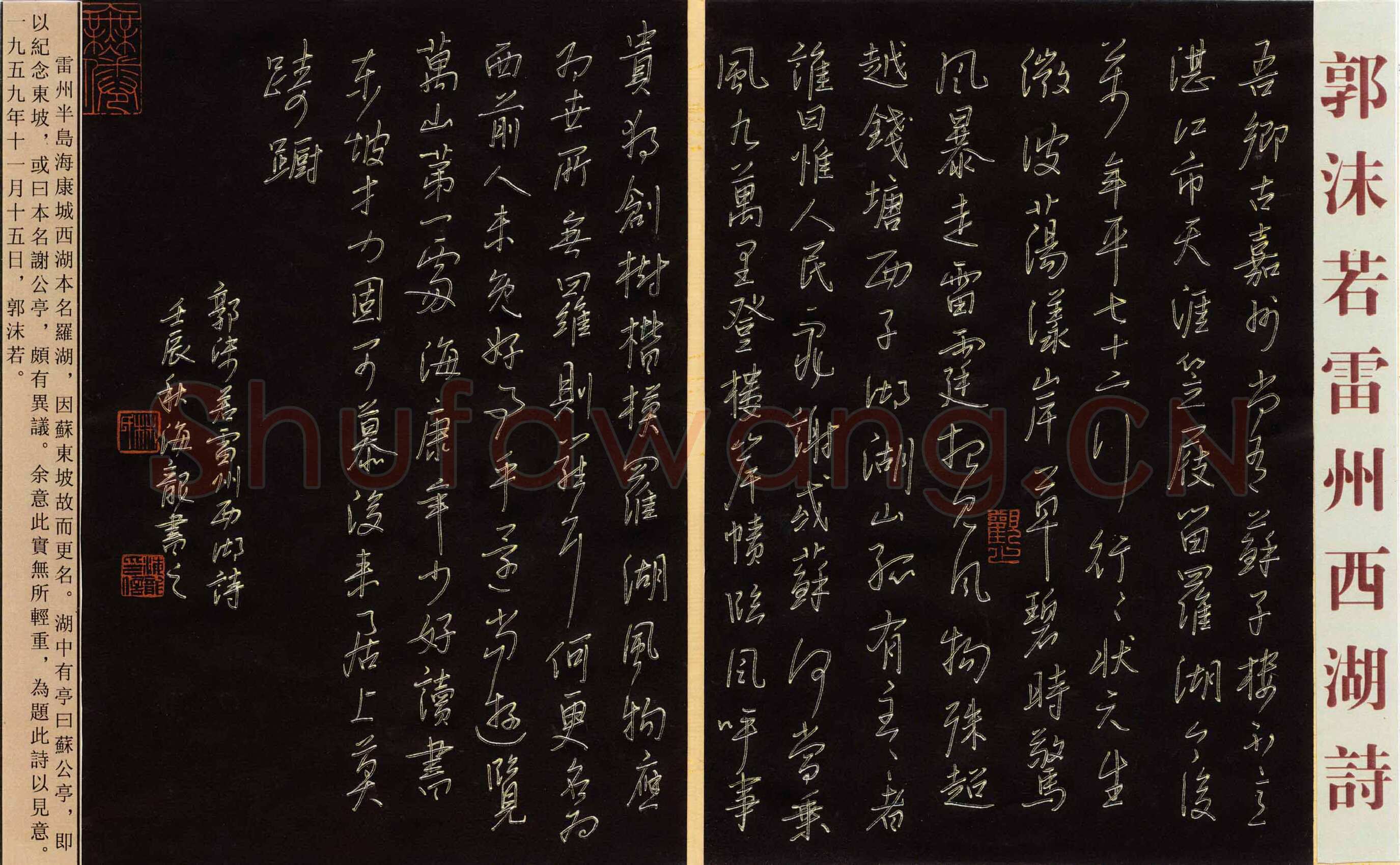 林海龙硬笔行书郭沫若雷州西湖诗,林海龙硬笔书法作品