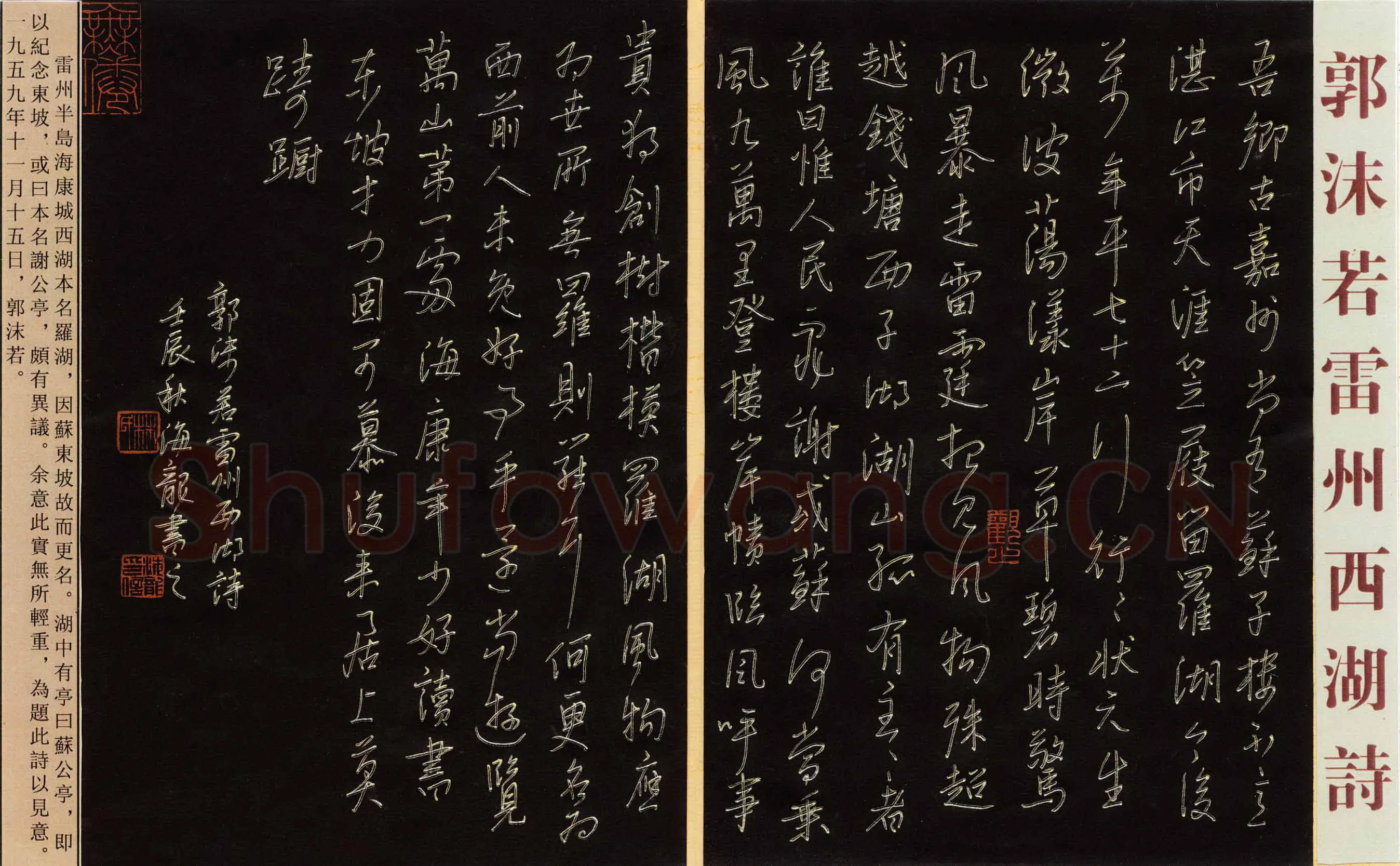 林海龙硬笔行书郭沫若雷州西湖诗,林海龙硬笔书法作品