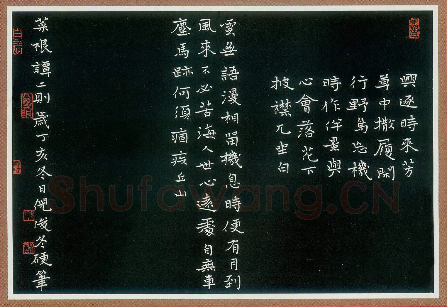 倪俊冬硬笔楷书红楼梦诗选 硬笔书法作品欣赏