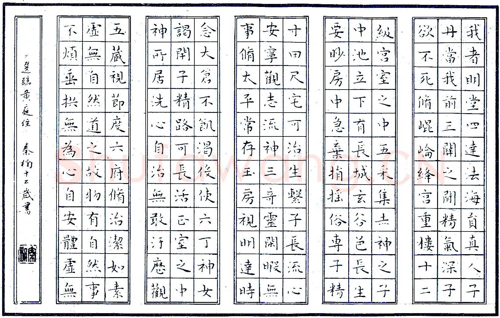 秦楠硬笔节临黄庭经 硬笔书法作品欣赏