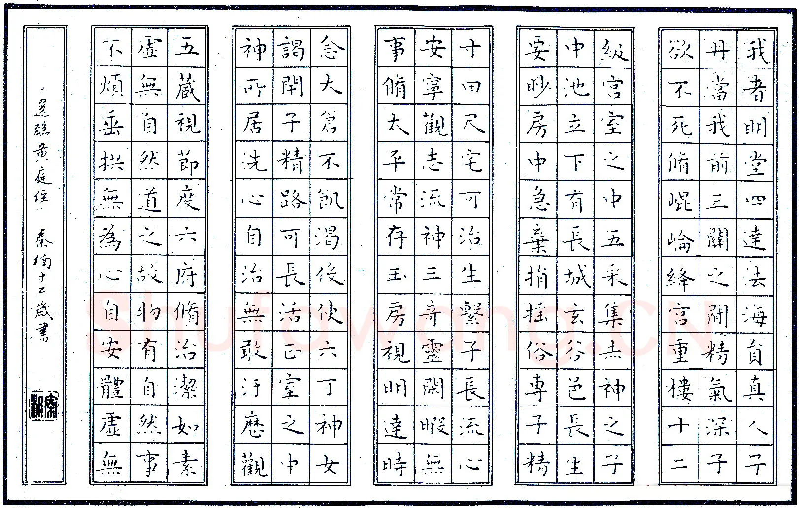 秦楠硬笔节临黄庭经 硬笔书法作品欣赏