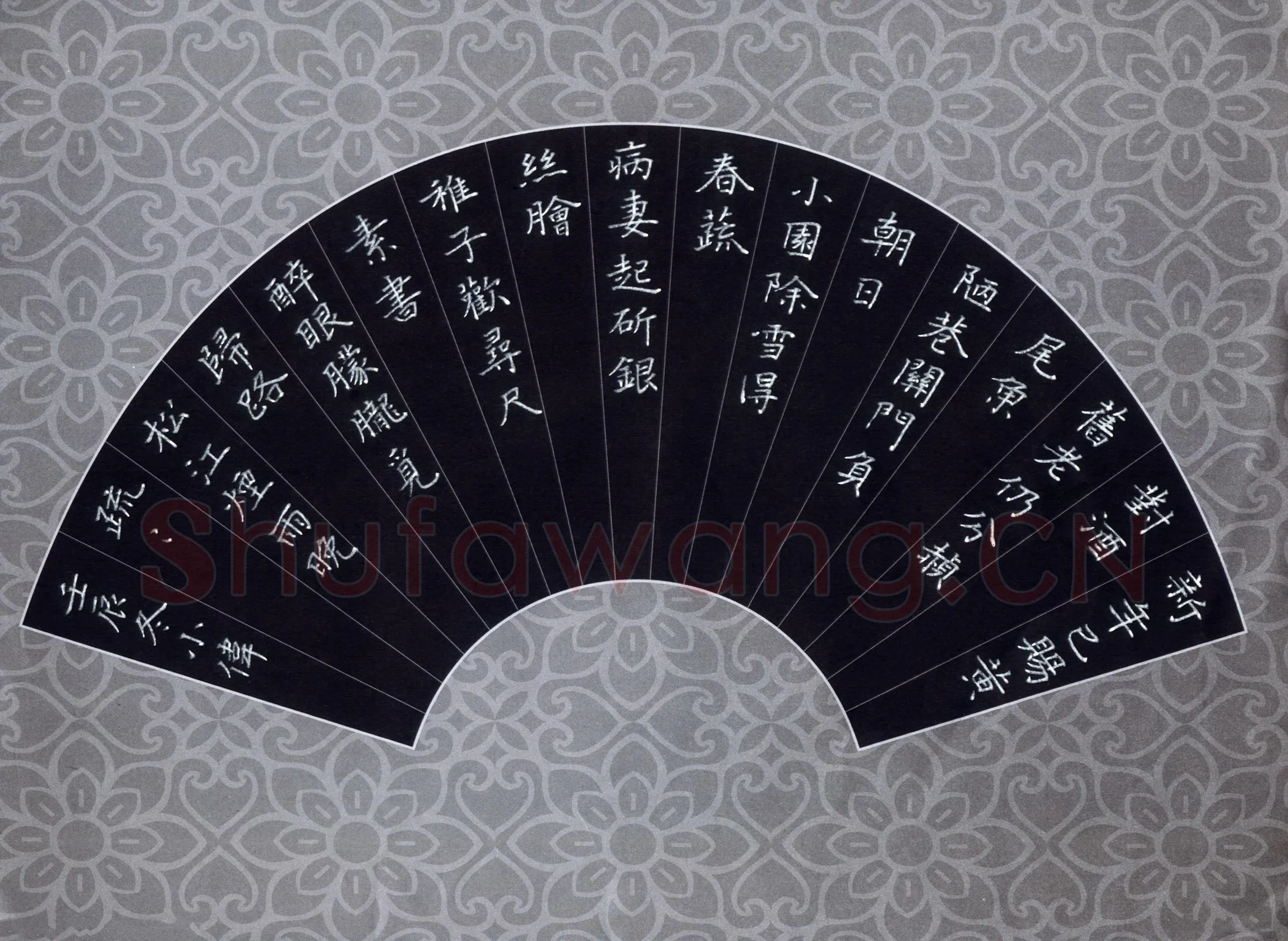 张仁伟硬笔楷书苏轼诗杜介送鱼,张仁伟硬笔书法作品