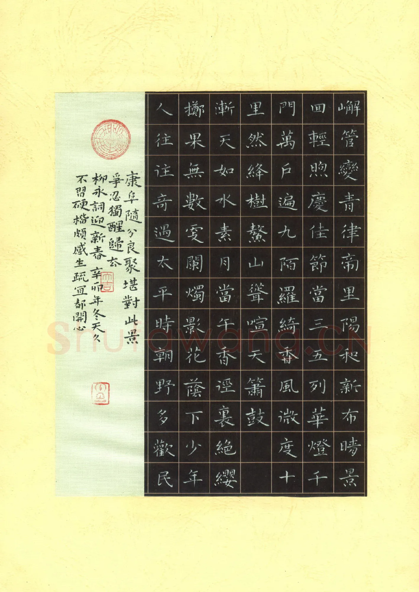 张开新硬笔楷书柳永词,张开新硬笔书法作品