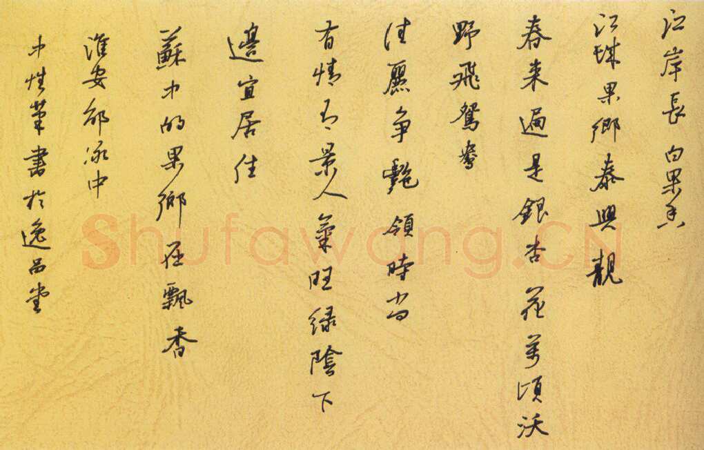 邵泳中硬笔行书江岸长