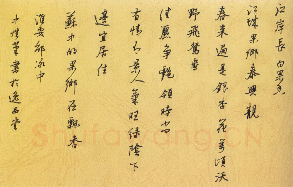 邵泳中硬笔行书江岸长