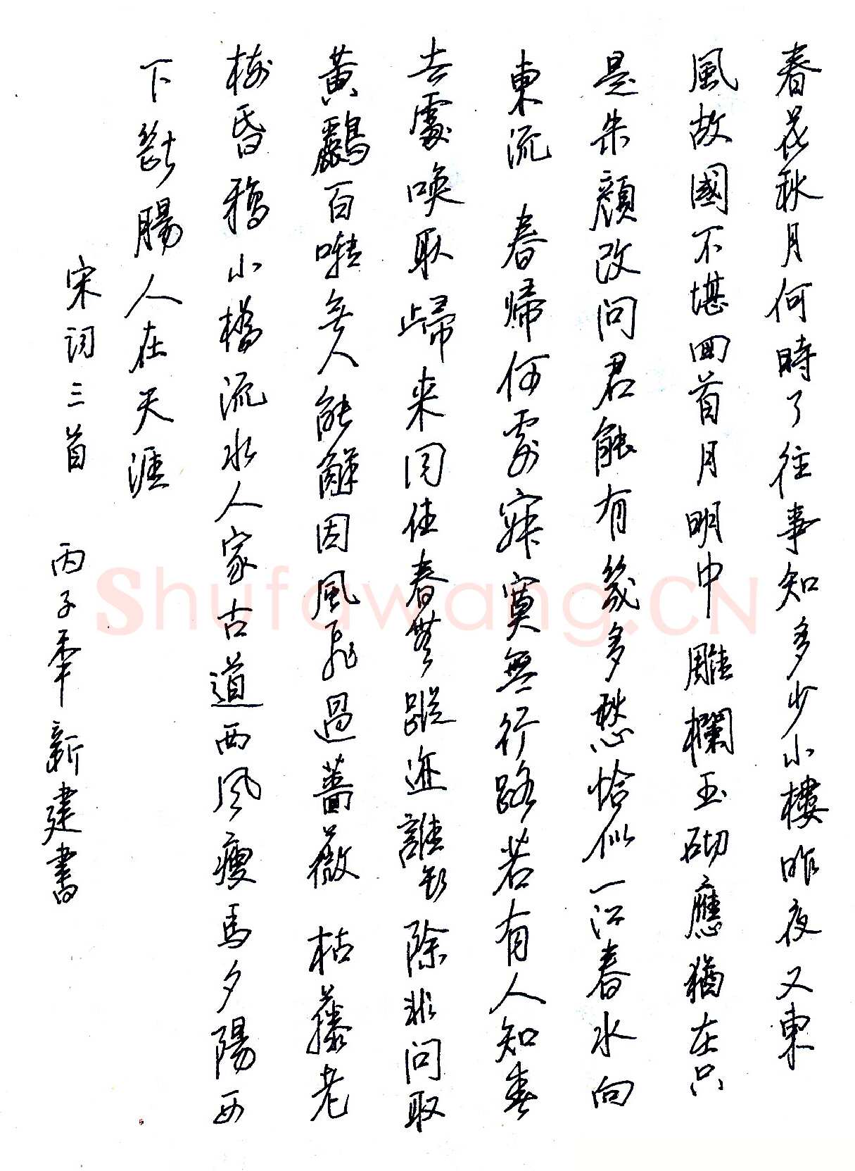 苏新建硬笔录宋词三首 硬笔书法作品欣赏