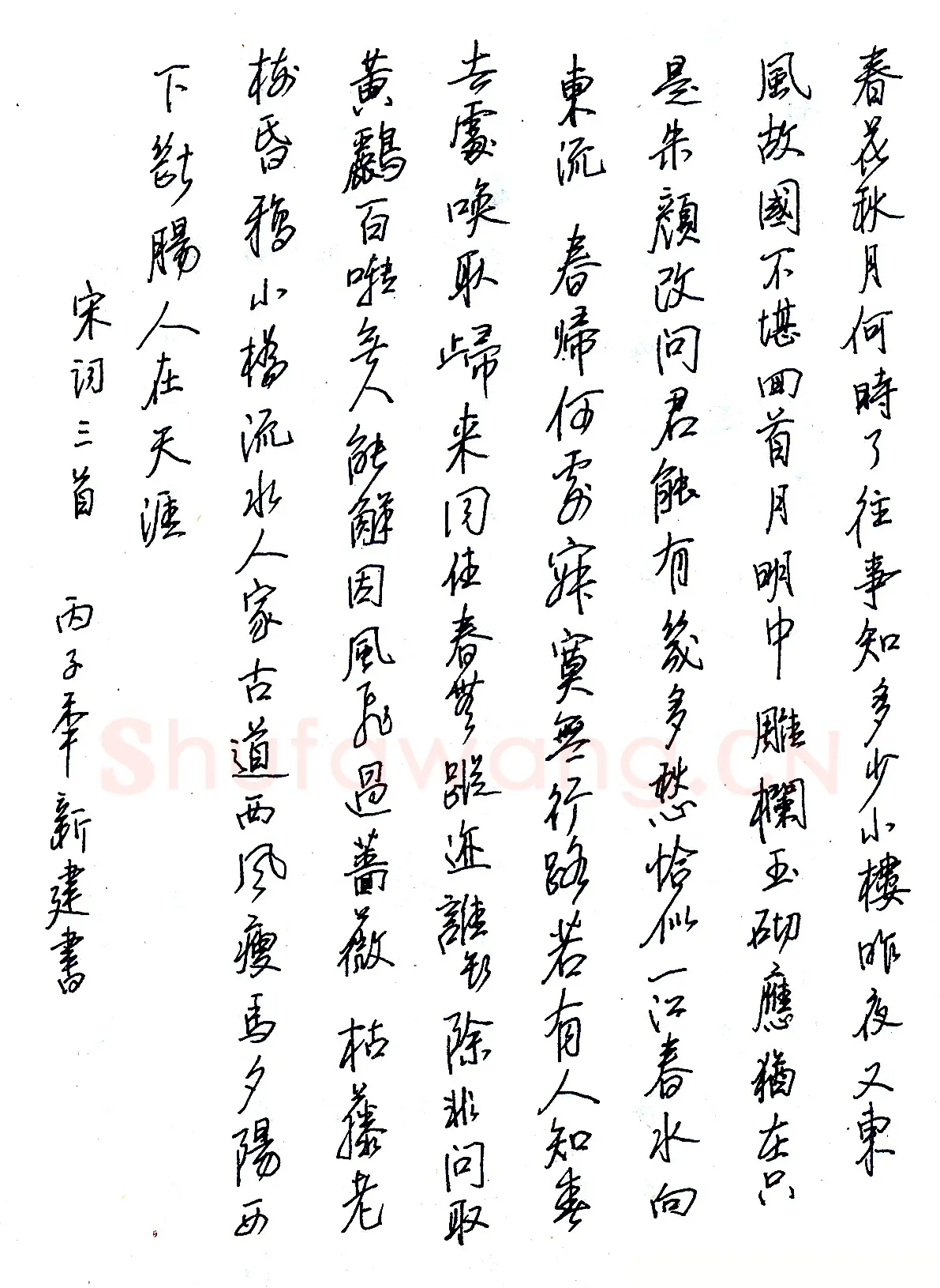 苏新建硬笔录宋词三首 硬笔书法作品欣赏