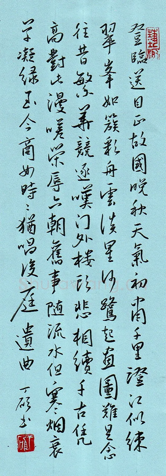 丁硕硬笔行书王安石词桂枝香,硬笔书法作品