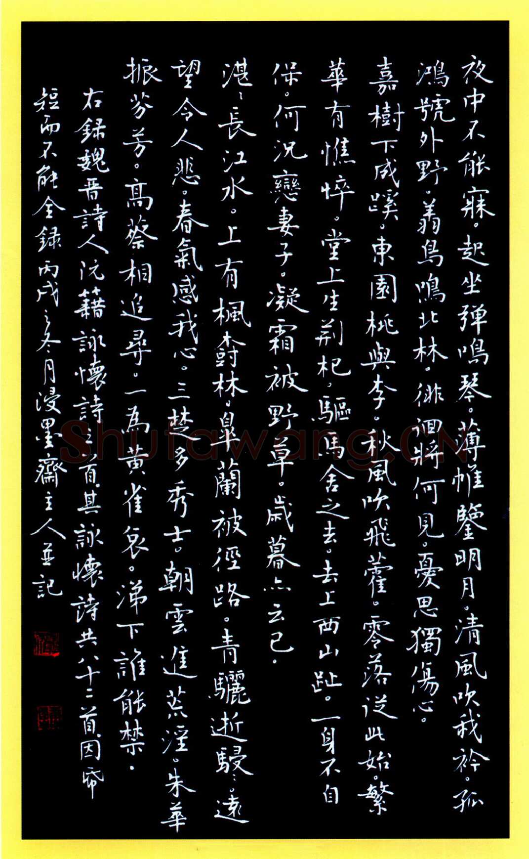 唐国生硬笔行楷阮籍诗咏怀三首 硬笔书法作品欣赏