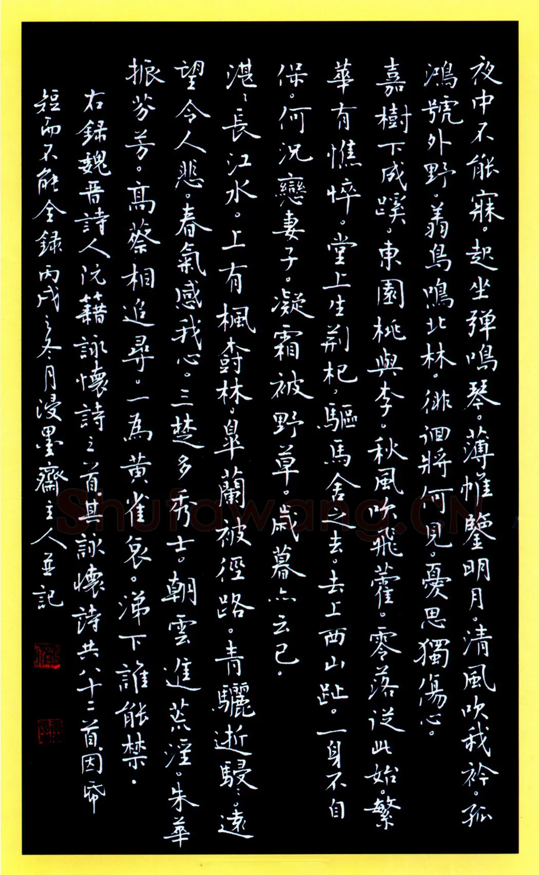 唐国生硬笔行楷阮籍诗咏怀三首 硬笔书法作品欣赏