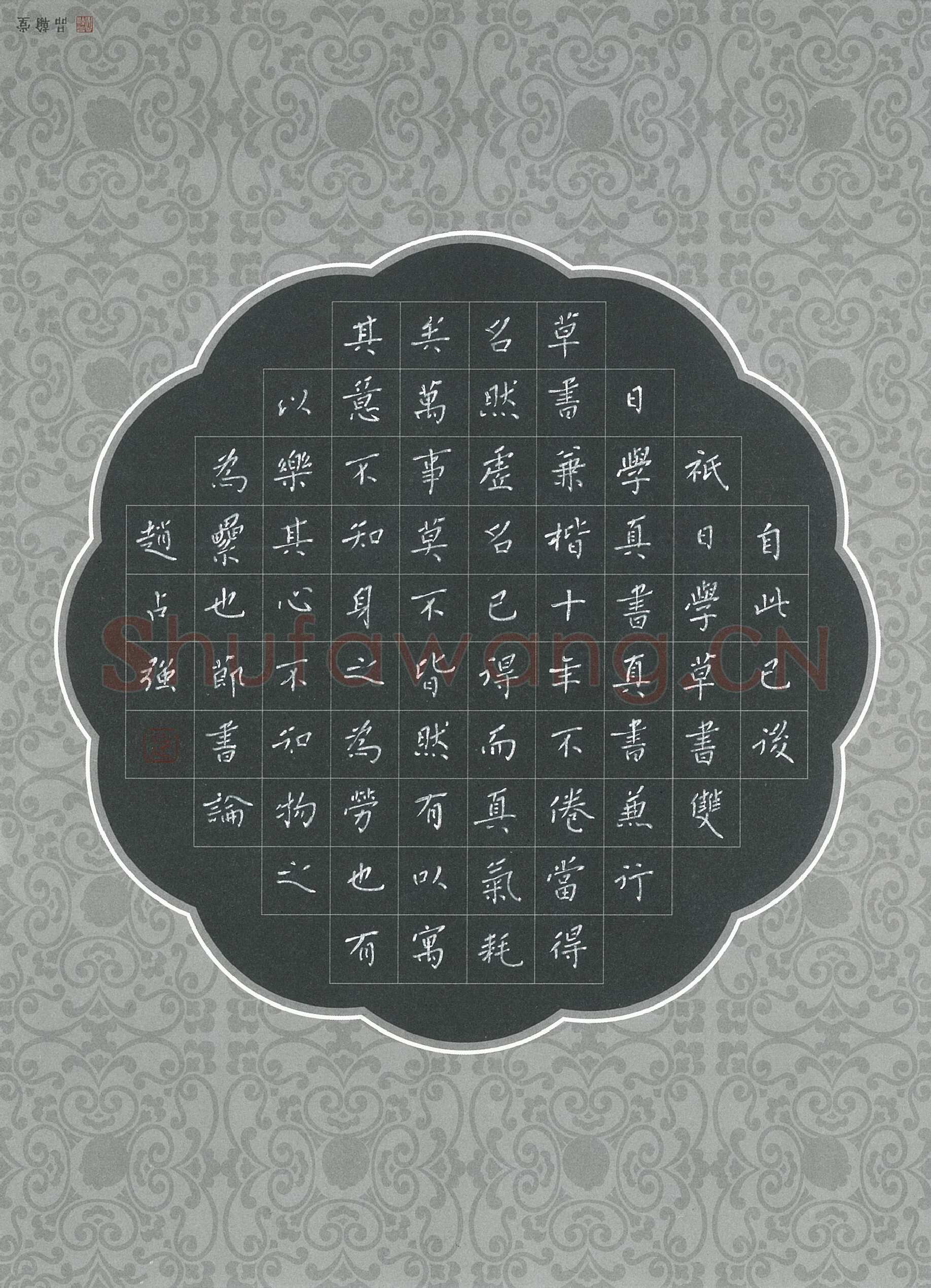 赵占强硬笔楷书书论节录,赵占强硬笔书法作品