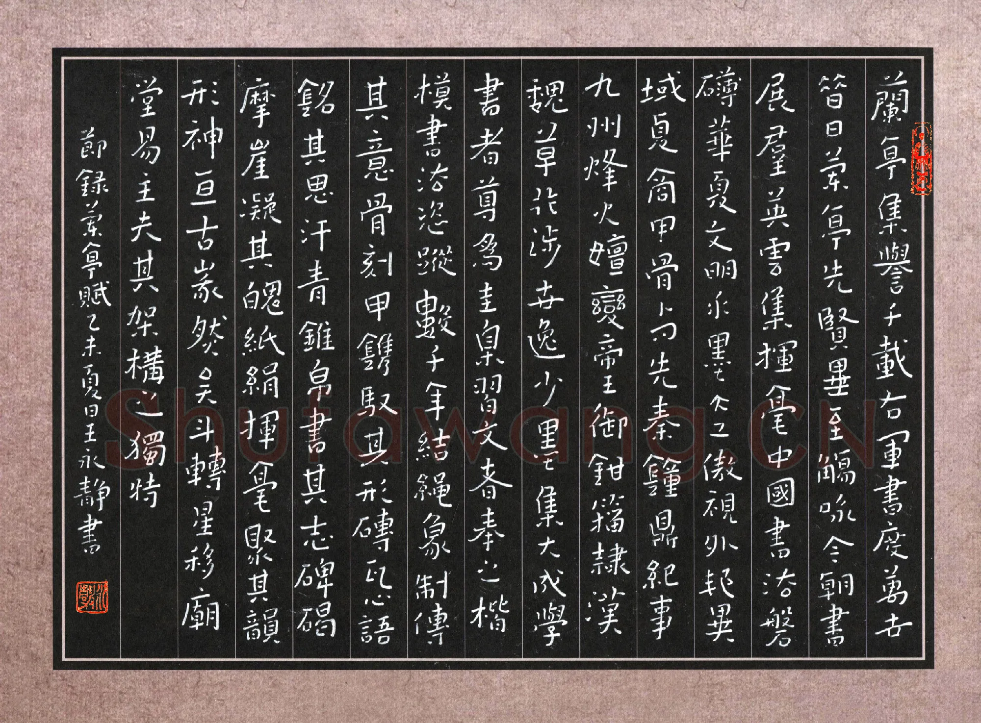王永静硬笔楷书节录兰亭赋,王永静硬笔书法作品