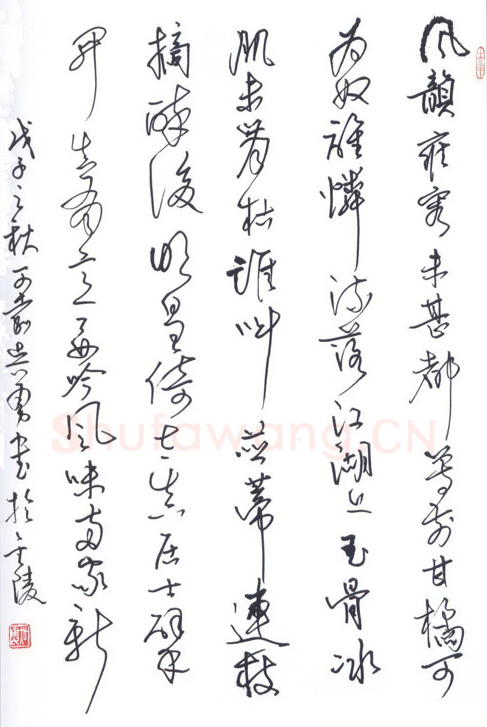 吴勇硬笔行草李清照词 硬笔书法作品欣赏