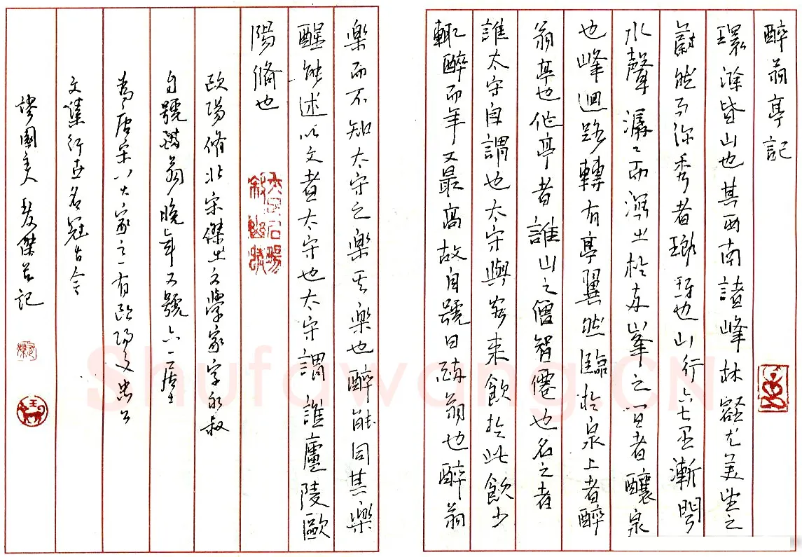 王友杰硬笔录醉翁亭记 硬笔书法作品欣赏