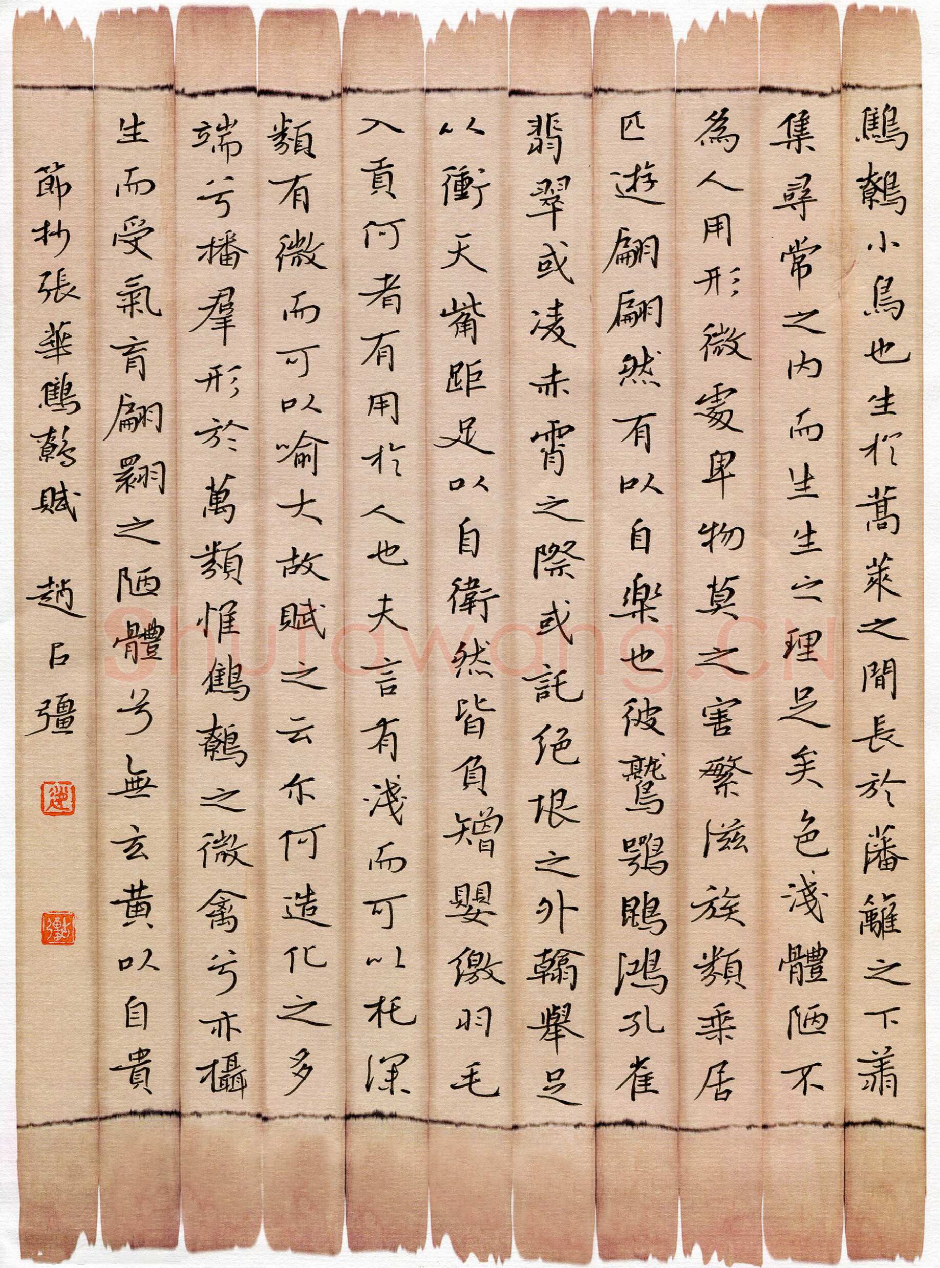 赵占强硬笔楷书节录张华鹪鹩赋,赵占强硬笔书法作品