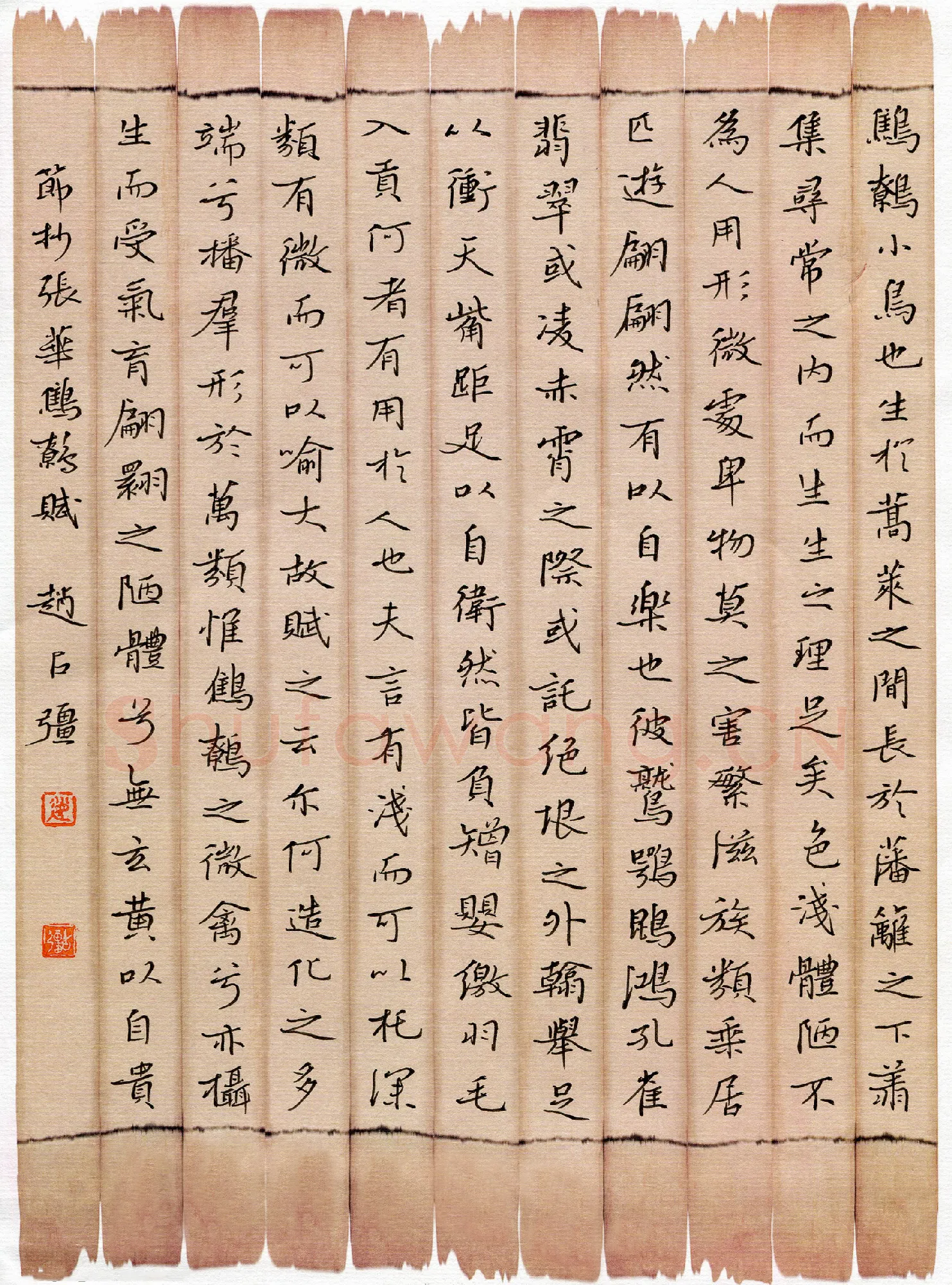 赵占强硬笔楷书节录张华鹪鹩赋,赵占强硬笔书法作品