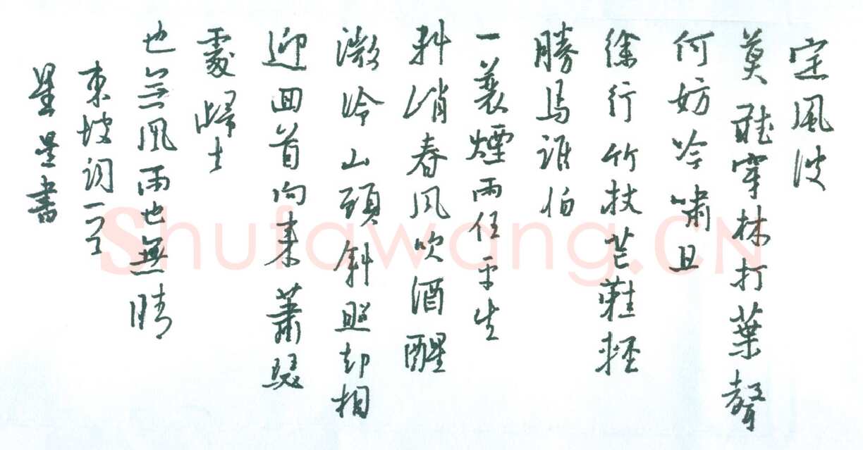 朱星星[行书东坡词一首］,朱星星硬笔书法作品