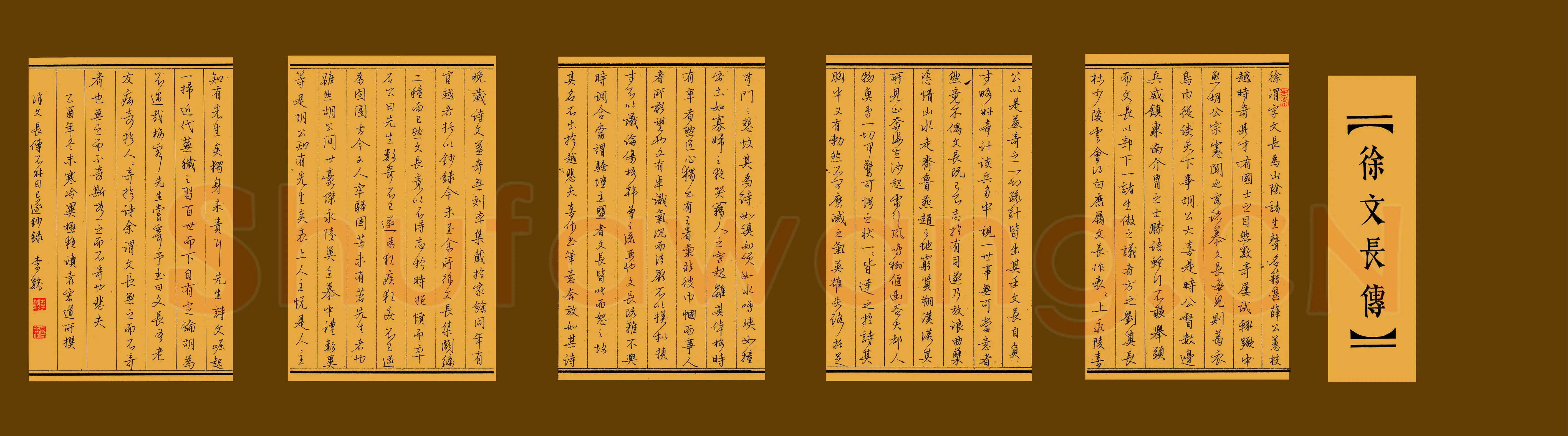 李巍硬笔行书徐文长传,李巍硬笔书法作品
