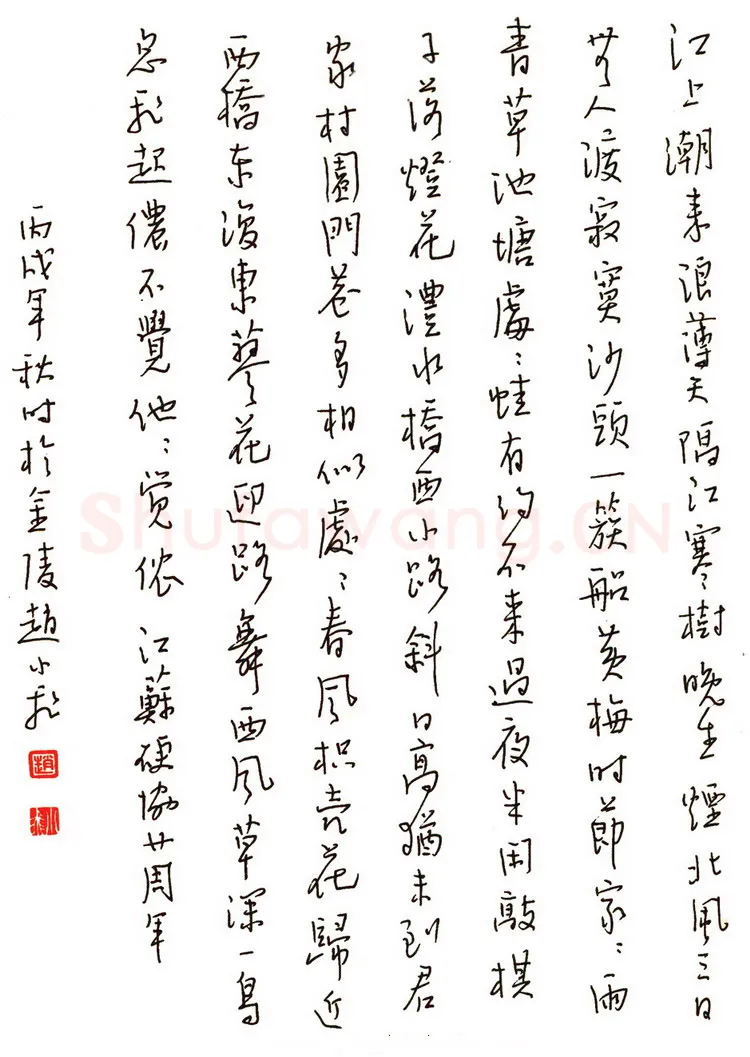 赵小飞硬笔行书刘子翚诗江上,硬笔书法作品