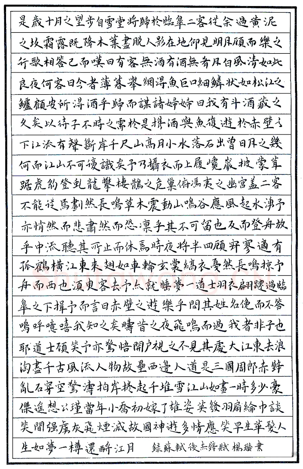 杨璇硬笔录苏轼后赤壁赋 硬笔书法作品欣赏