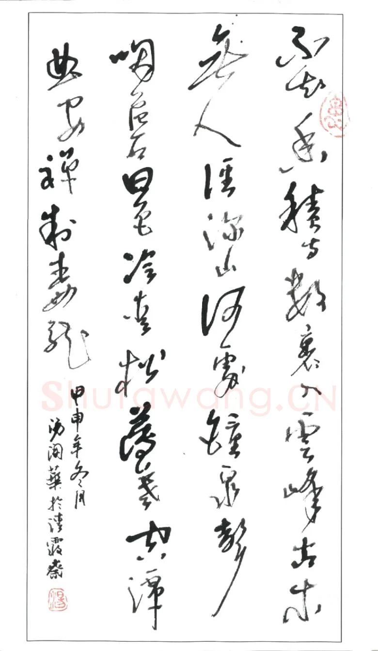 汤开华硬笔草书王维诗,硬笔书法作品