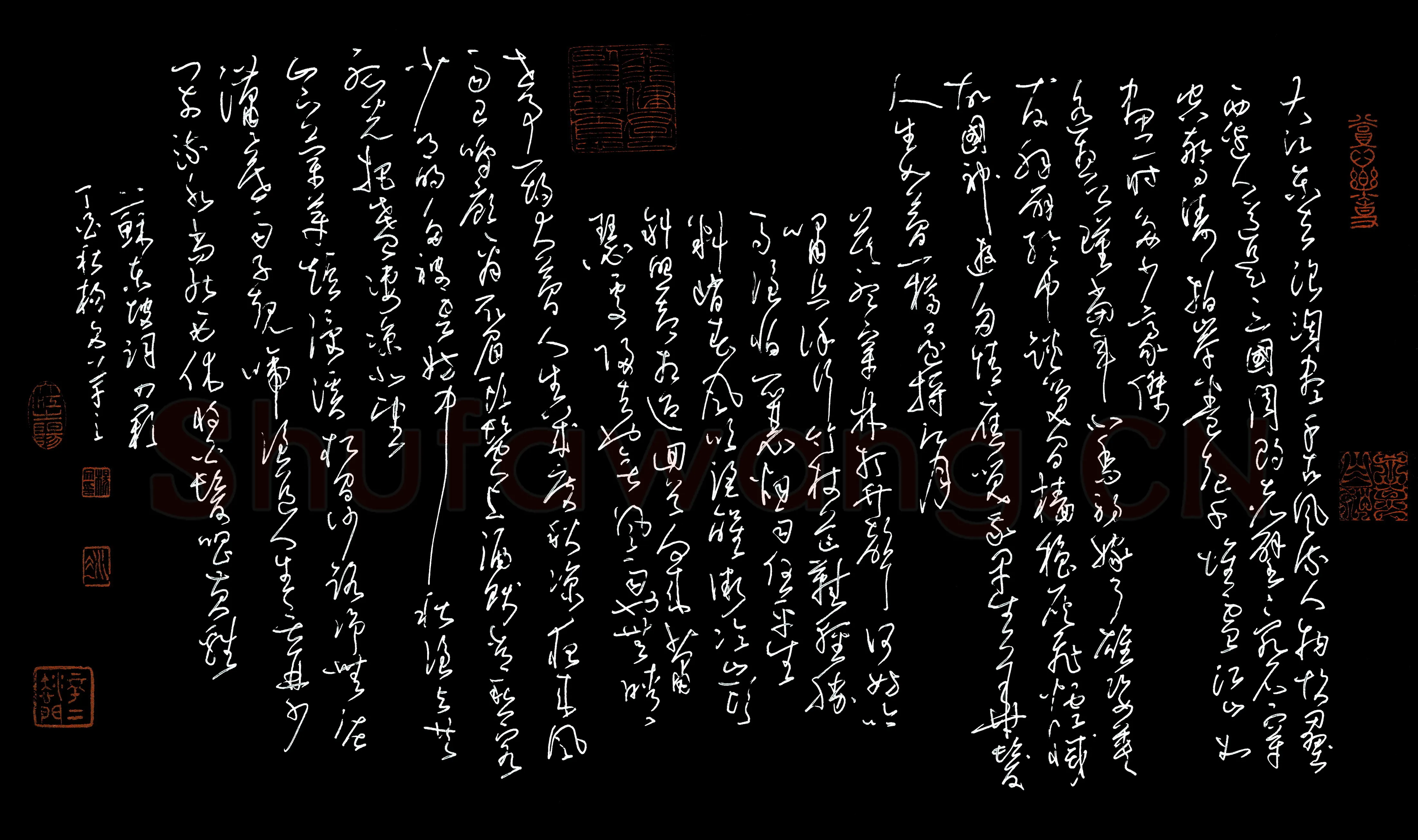 杨文硬笔草书苏东坡词四首,杨文硬笔书法作品