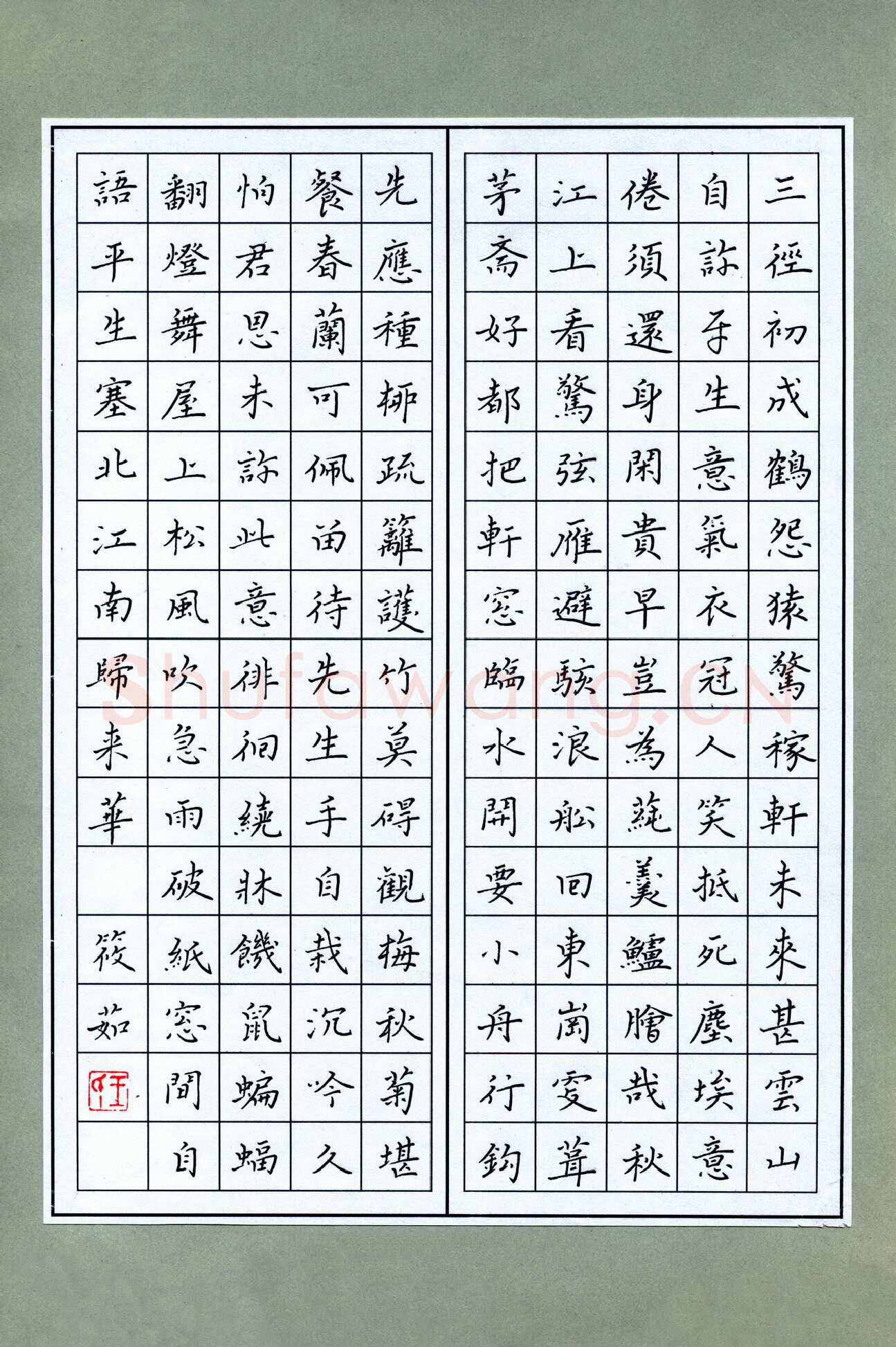 王筱茹硬笔楷书辛弃疾词二首,王筱茹硬笔书法作品