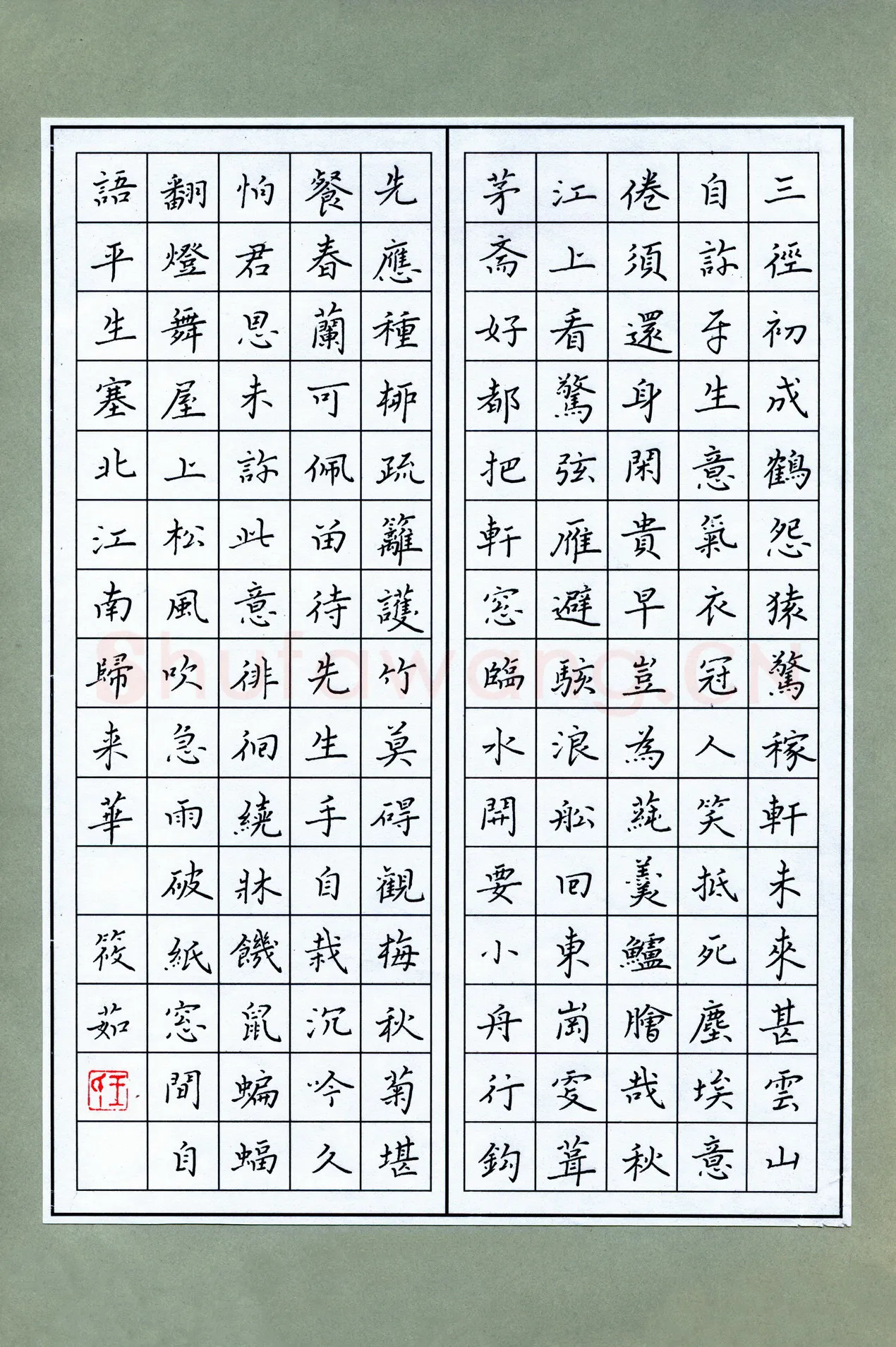 王筱茹硬笔楷书辛弃疾词二首,王筱茹硬笔书法作品
